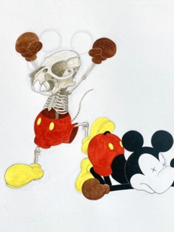 7d6b10b03277df2c9352b8f16dcceb32-mickey-boxing-micky-3.jpg